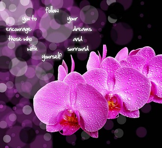 Orchid message