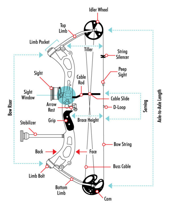 Compound Bow Illustration.jpg