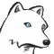 wolf_avatar.png